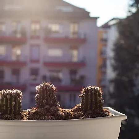 Apartamento Iconic Luxury Penthouse In The Heart Of *